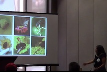 Ethel Villalobos giving presentation on pollinators to LICH conference